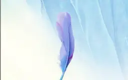 Kpop English